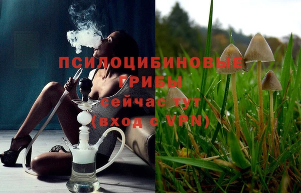 mdpv Баксан