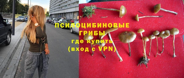 прущие грибы Красноперекопск