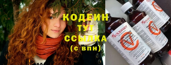 стаф Балахна