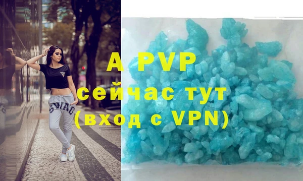 стаф Балахна
