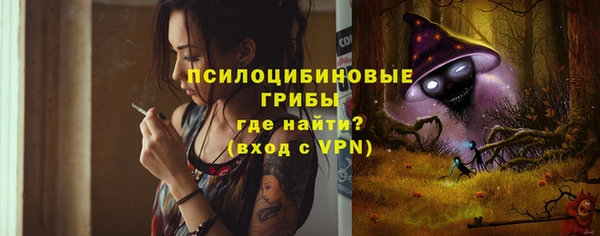 стаф Балахна
