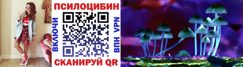 Галлюциногенные грибы мухоморы  купить наркоту  Калининец 
